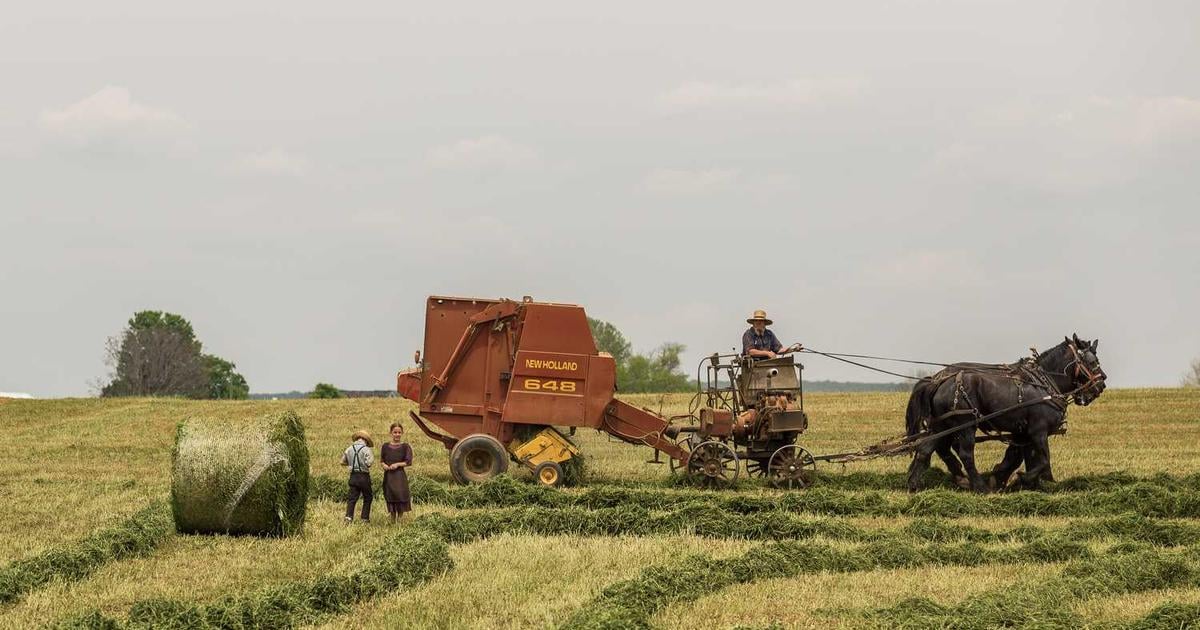 630-Dec-15-2025-03-21-23-5394-PM